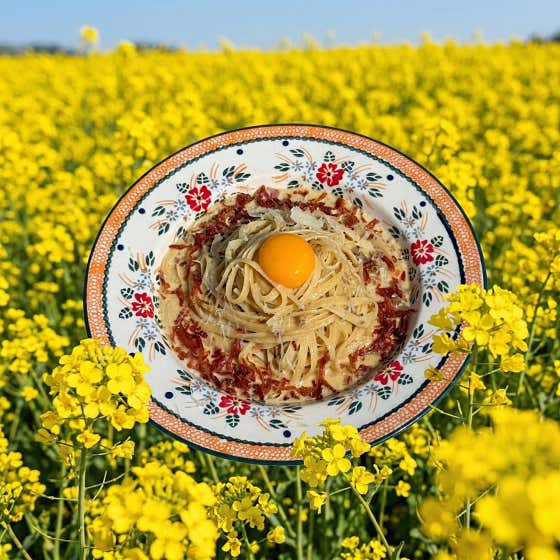 화이트크림라구 파스타 메뉴 사진(네이버)