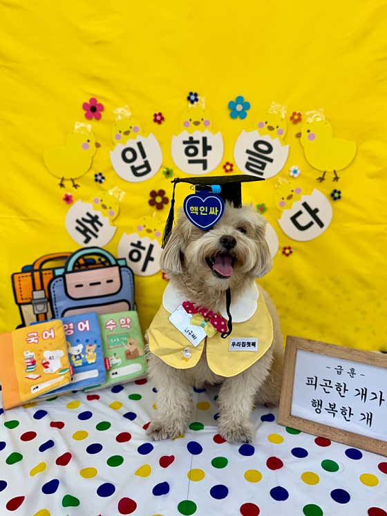 우리집첫째 서면점 대표이미지