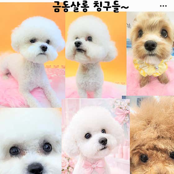금동살롱 · 네이버 지도·플레이스 7