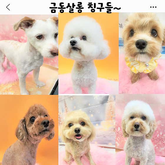 금동살롱 · 네이버 지도·플레이스 8
