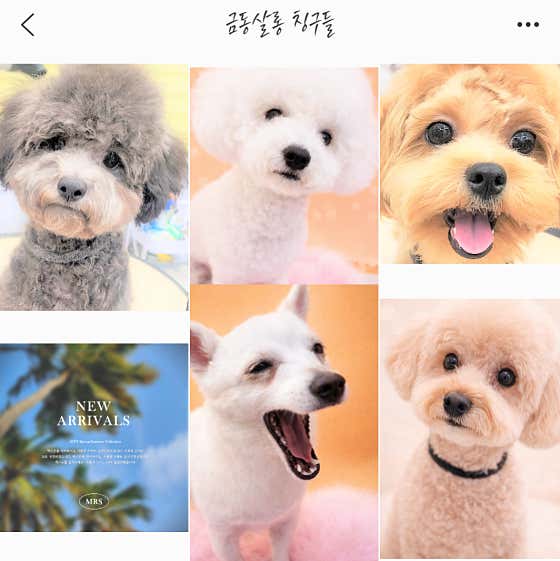 금동살롱 · 네이버 지도·플레이스 6