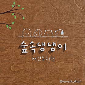 숲속댕댕이애견유치원 대표이미지