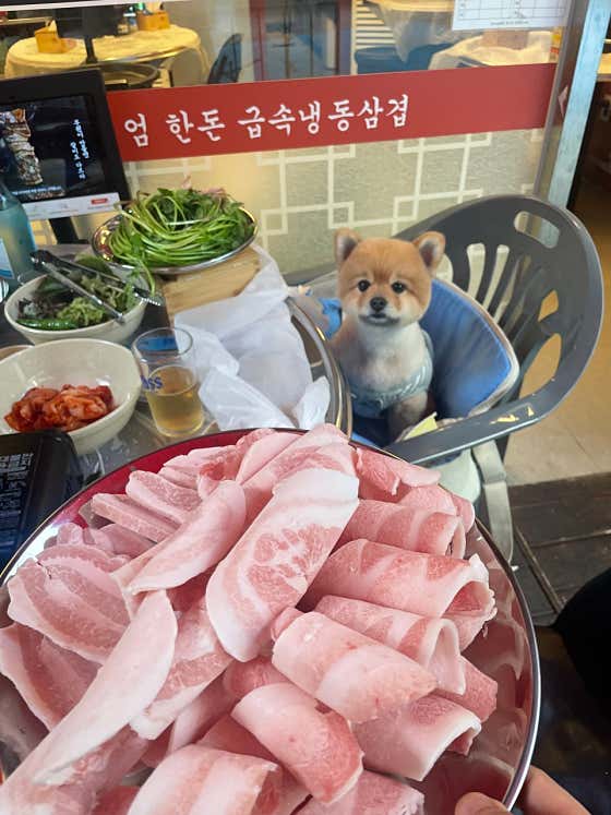 부원냉삼집 해운대장산점 · 네이버 지도·플레이스 4
