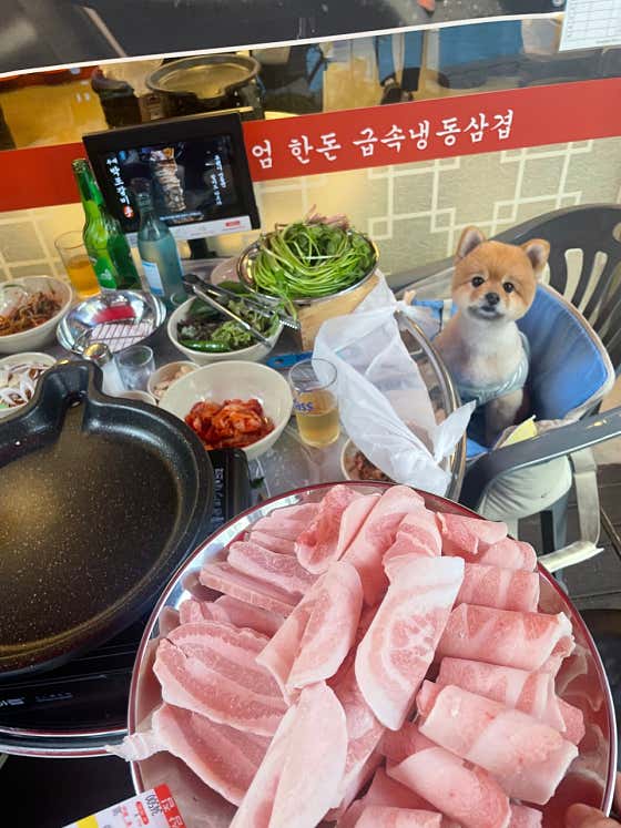 부원냉삼집 해운대장산점 · 네이버 지도·플레이스 5