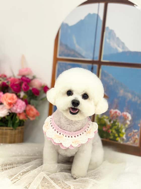 멍스터치 · 네이버 지도·플레이스 6