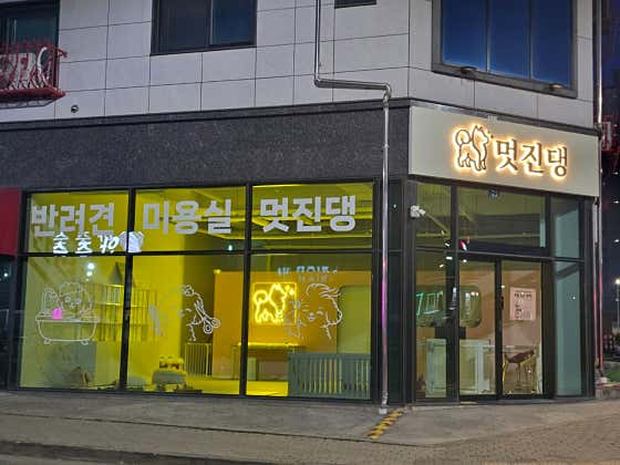 멋진댕 · 네이버 지도·플레이스 8