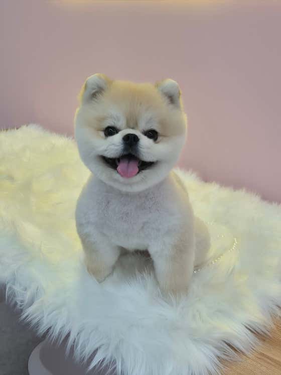 멋진댕 · 네이버 지도·플레이스 7