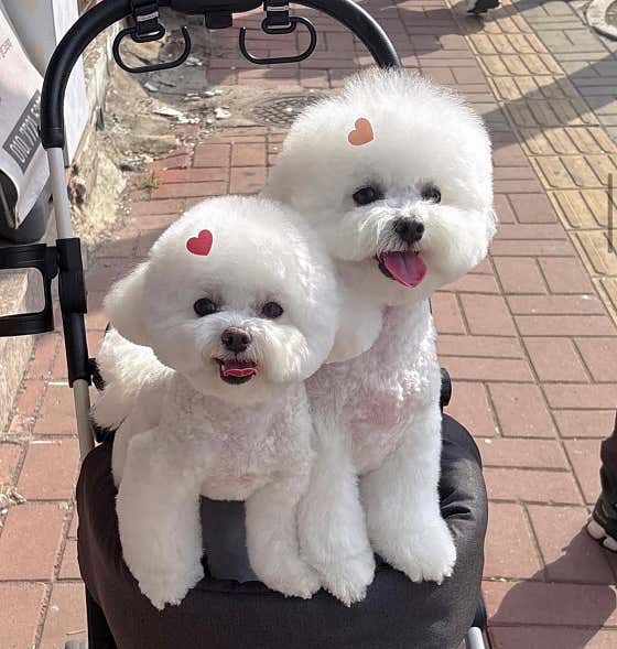 멍그라미 · 네이버 지도·플레이스 2