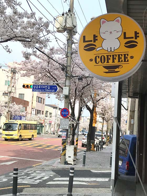 냥냥커피 · 네이버 지도·플레이스 2