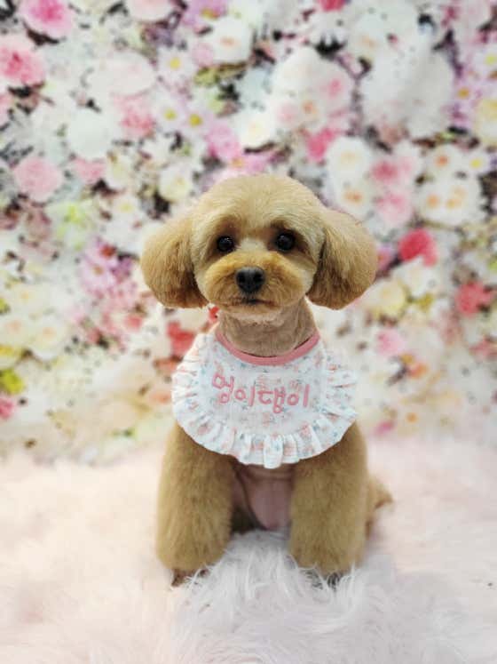 멍이댕이 대표이미지