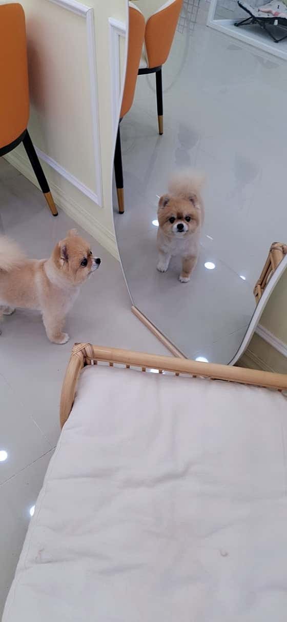 애프터멍