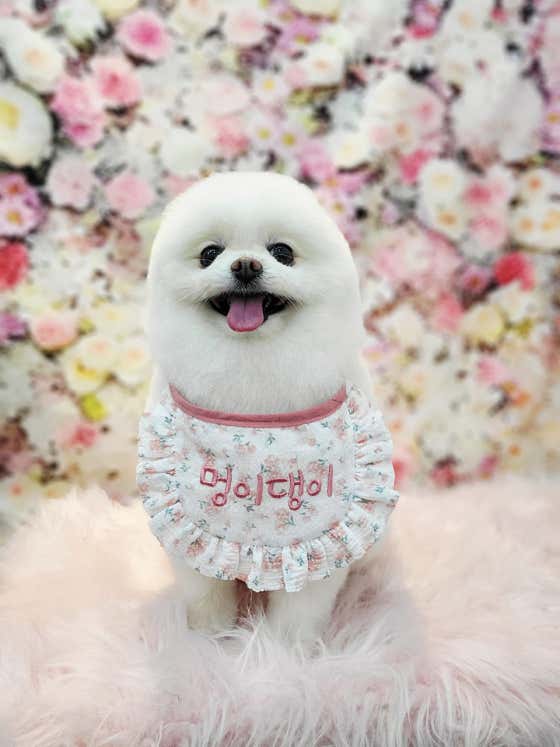 멍이댕이 · 네이버 지도·플레이스 2