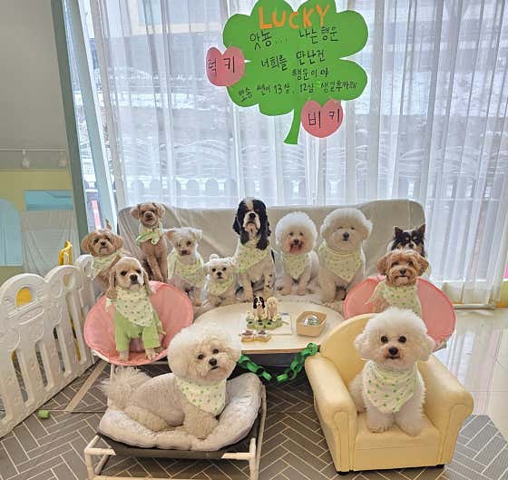 바둑이연구소 대표이미지