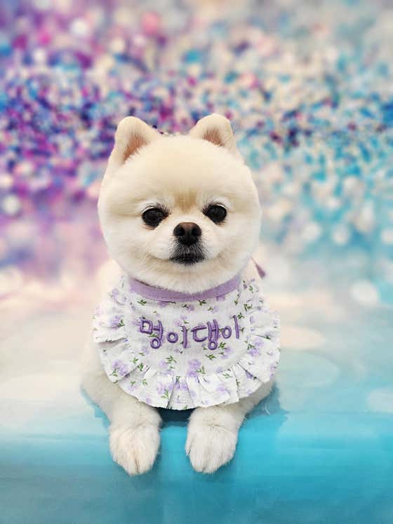 멍이댕이 · 네이버 지도·플레이스 6