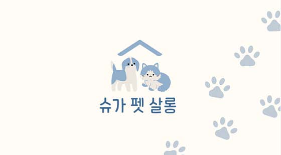 슈가펫살롱