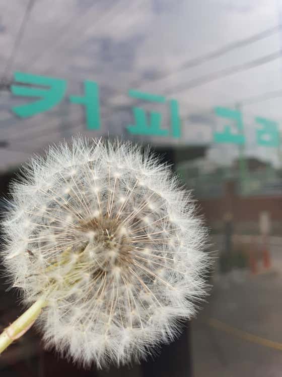커피고래 · 네이버 지도·플레이스 2