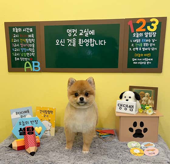 멍컷 · 네이버 지도·플레이스 9