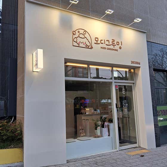 모디그루밍