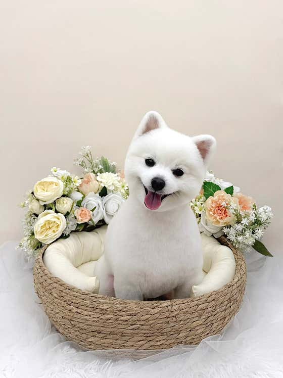 땅땅콩콩 · 네이버 지도·플레이스 10