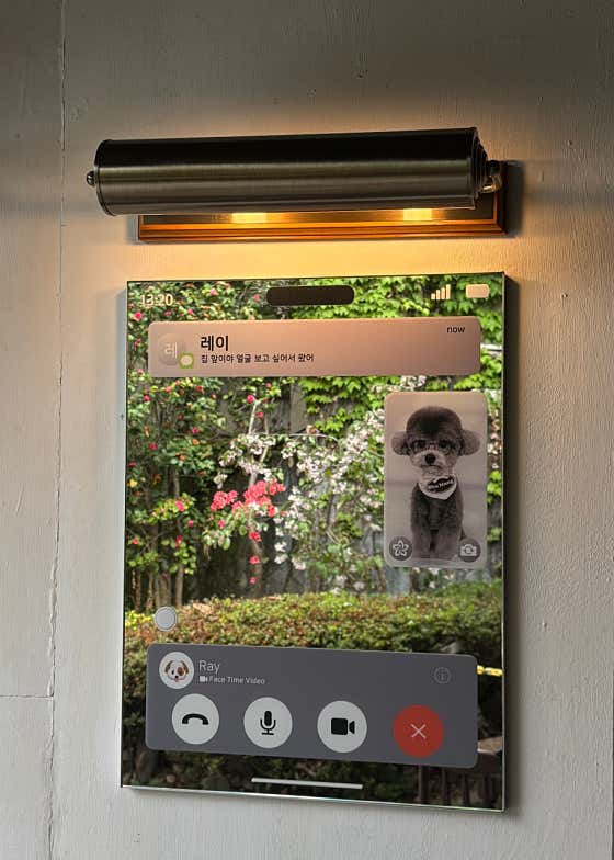 고홈 · 네이버 지도·플레이스 7