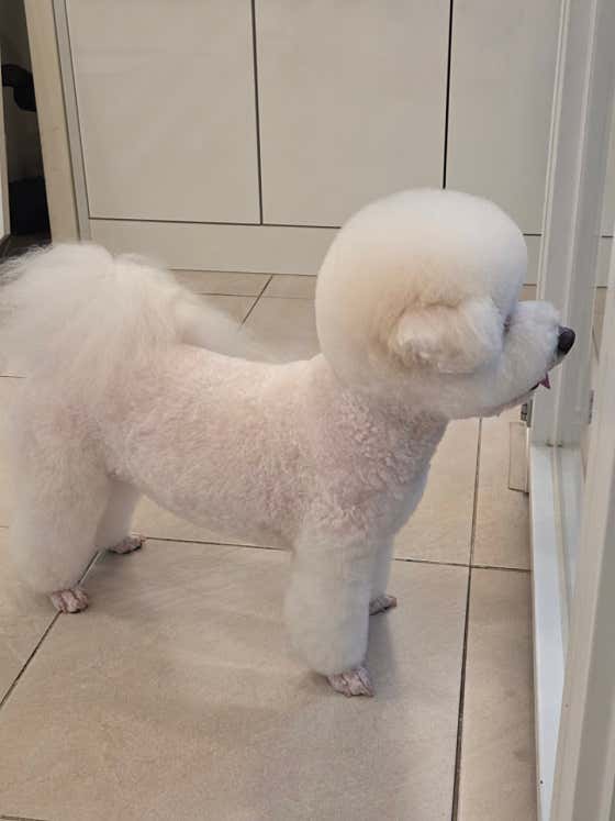 유니스펫살롱 대표이미지