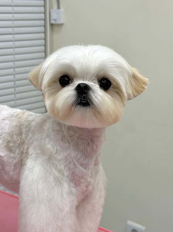 아르몽 · 네이버 지도·플레이스 2