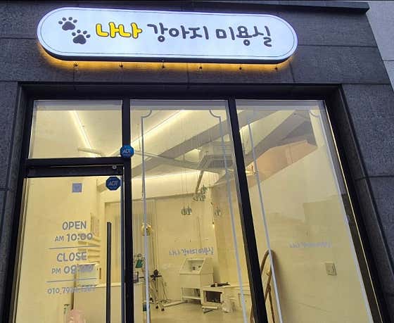 나나강아지미용실 대표이미지