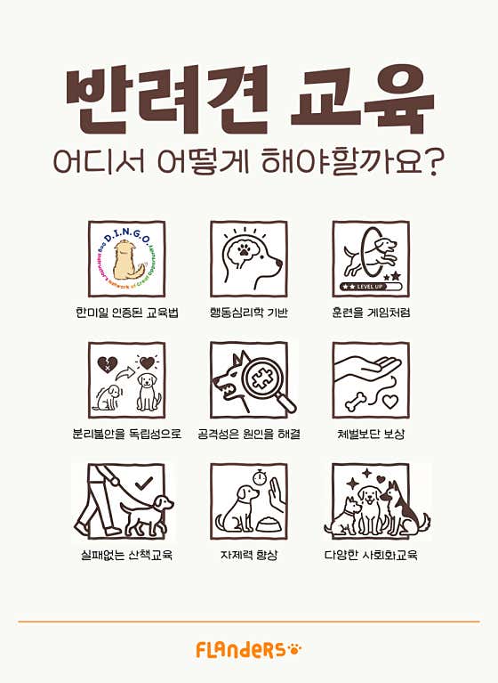 플랜더스 반려견 교육센터 애견훈련 애견유치원 애견호텔 · 네이버 지도·플레이스 3