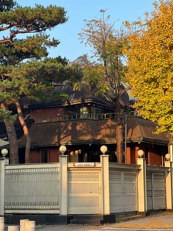 카페멘디 · 네이버 지도·플레이스 2