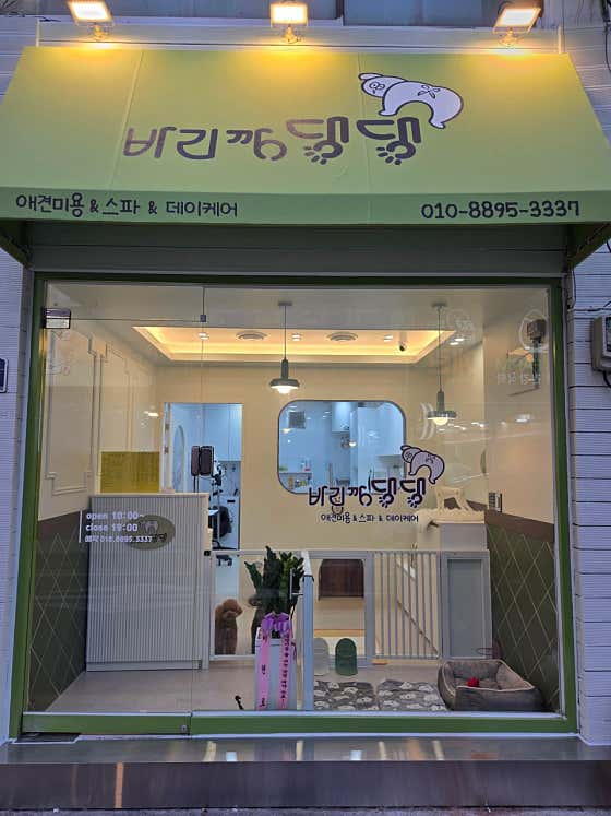 바리깡댕댕