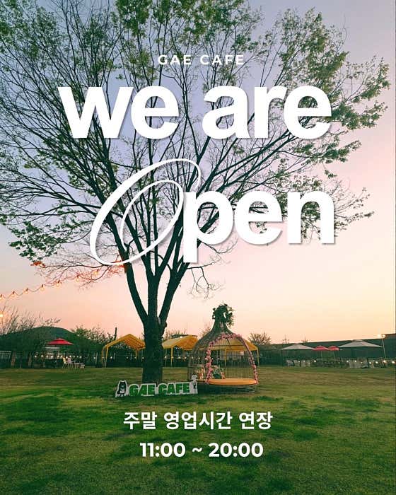 개카페