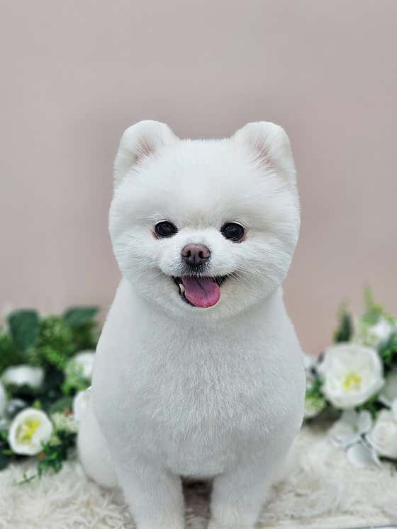 아라몽드 · 네이버 지도·플레이스 9