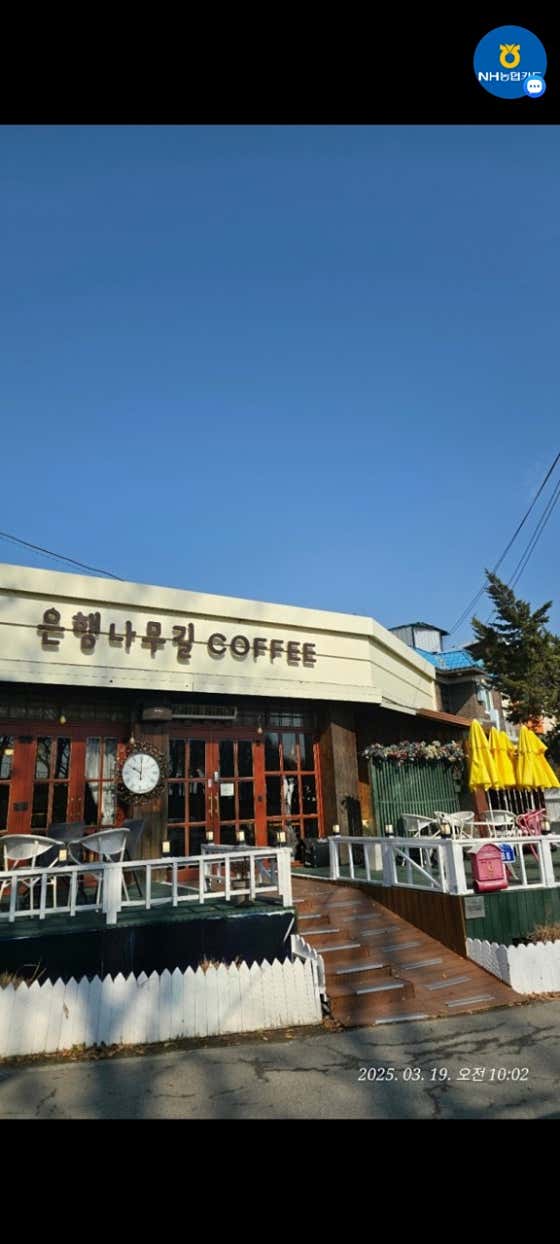 은행나무길카페