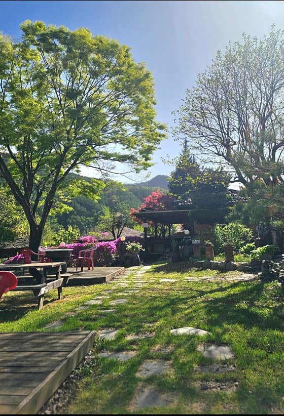 카페아마떼 영월점 · 네이버 지도·플레이스 6