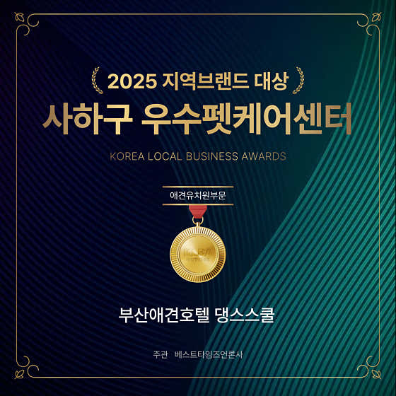 사하구애견미용 댕스살롱 · 네이버 지도·플레이스 2