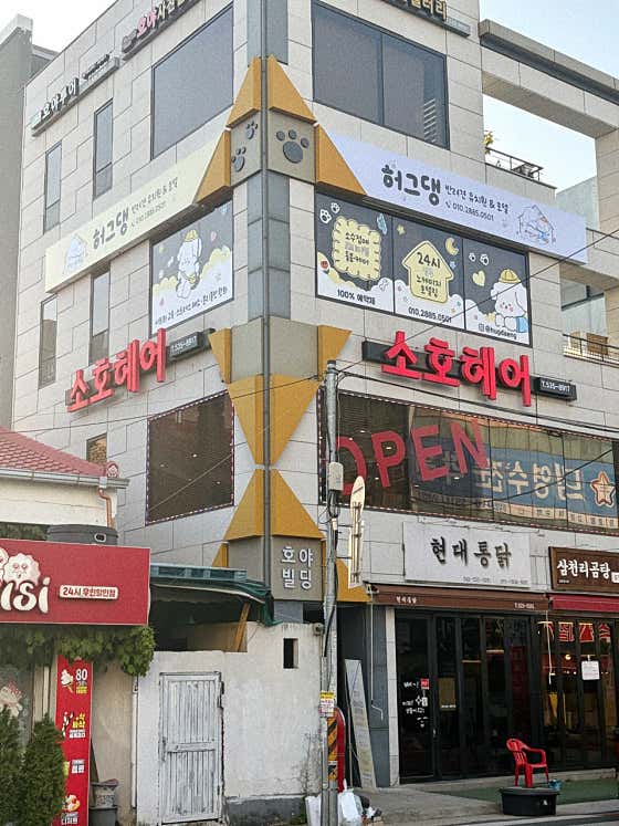 허그댕 반려견유치원&호텔 · 네이버 지도·플레이스 3