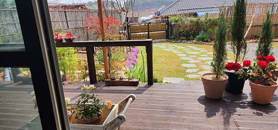 고운정