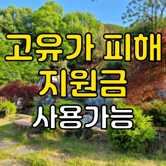 캠프향기 대표이미지