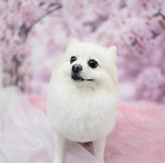 푸르몽살롱 · 네이버 지도·플레이스 4