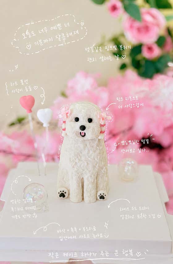 댕뽀까 경산중산점 애견미용 강아지수제간식 수제케이크 사진