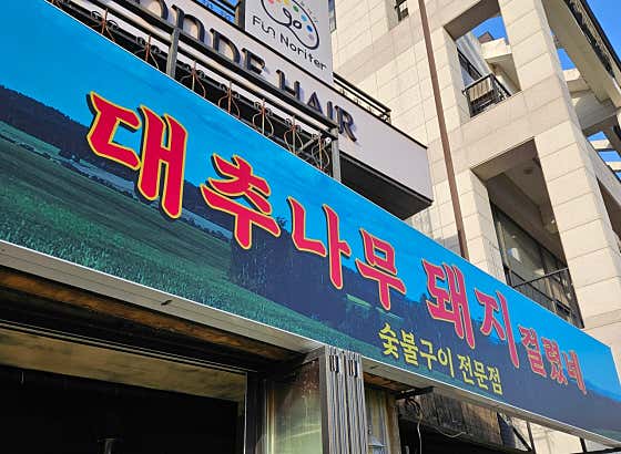 대추나무 돼지걸렸네