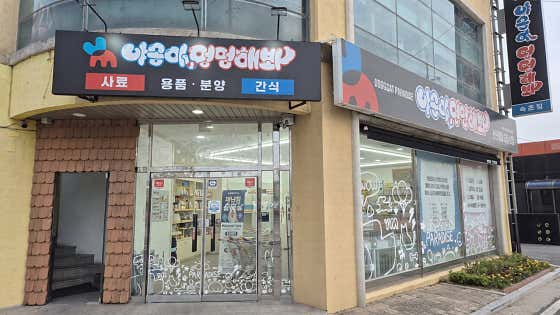 야옹아멍멍해봐 속초점