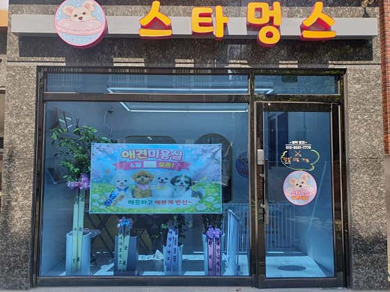 스타멍스 · 네이버 지도·플레이스 2