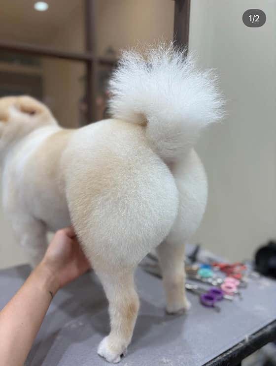 멈무드 첨단점 · 네이버 지도·플레이스 3