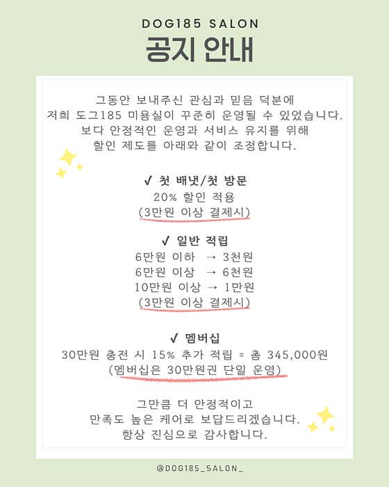 도그185 애견미용실 대표이미지