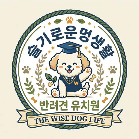 슬기로운 멍생활 대표이미지