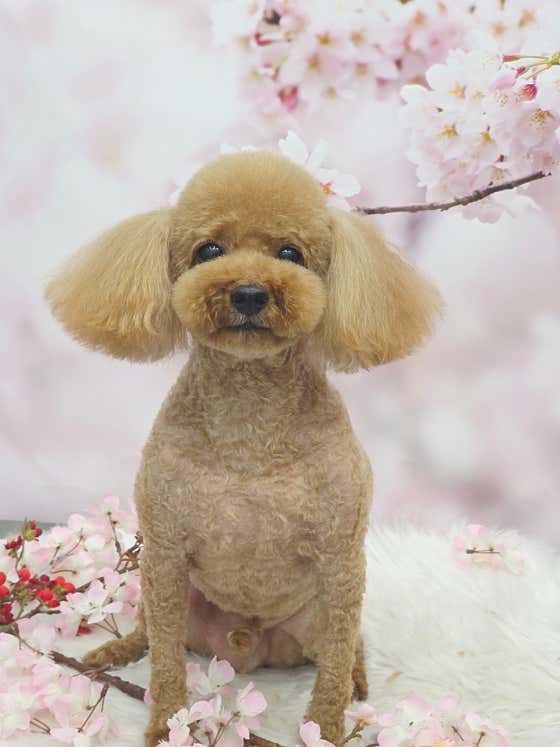 또앤코 · 네이버 지도·플레이스 4