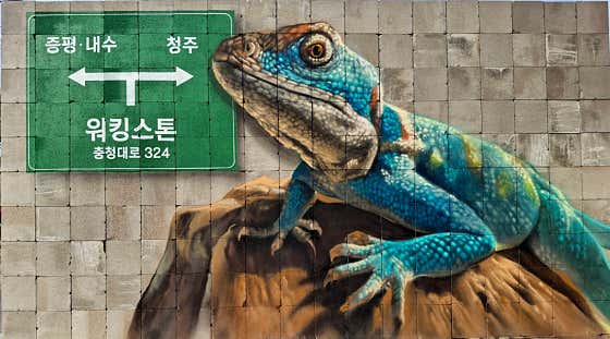 워킹스톤 · 네이버 지도·플레이스 8