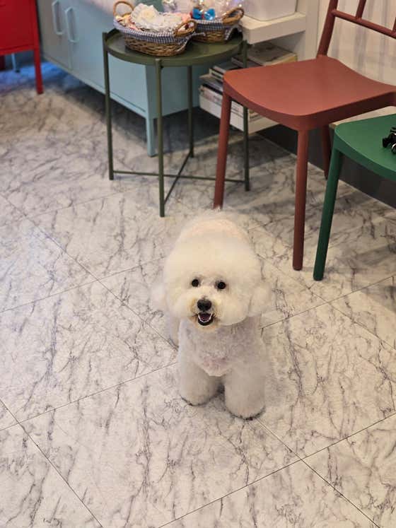 비달살롱 · 네이버 지도·플레이스 5