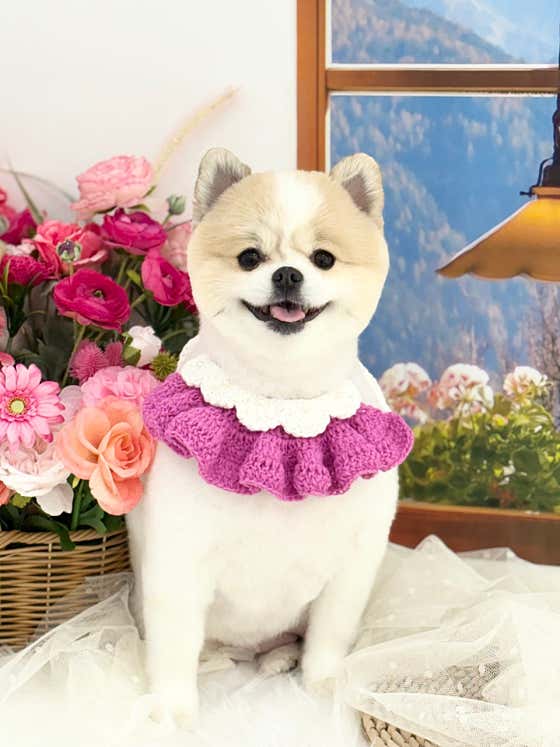 멍스터치 · 네이버 지도·플레이스 3